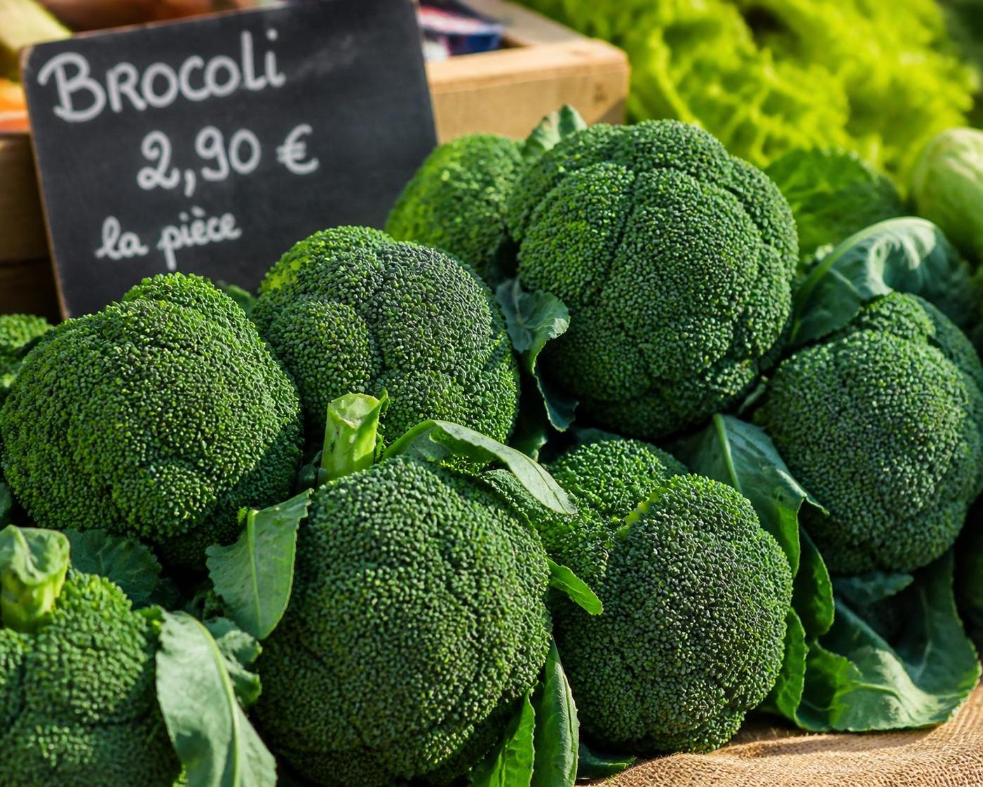 découvrez nos recettes et astuces faciles pour cuisiner le brocolis au quotidien, valoriser ses saveurs et profiter de ses bienfaits santé.